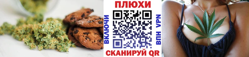 даркнет телеграм Острогожск Canna-Cookies марихуана как найти наркотики