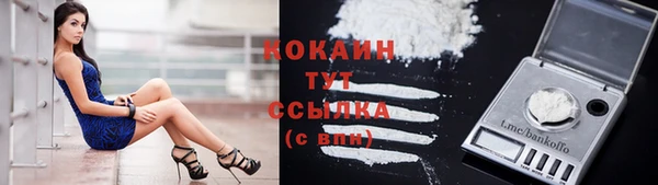 стафф Дмитров