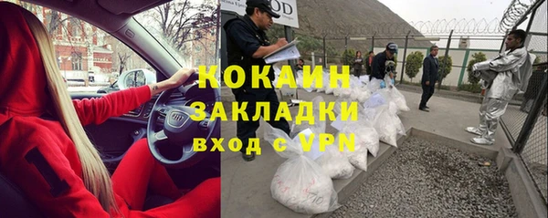 стафф Дмитров
