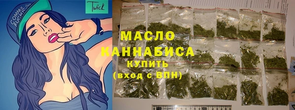 гашик Пересвет