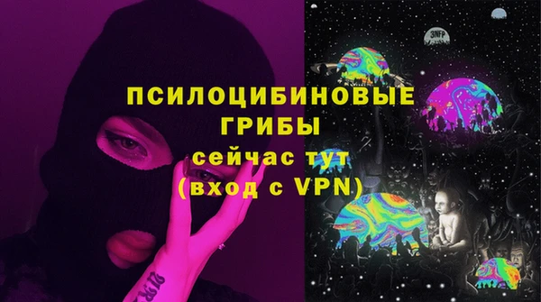 Альфа ПВП Дмитриев