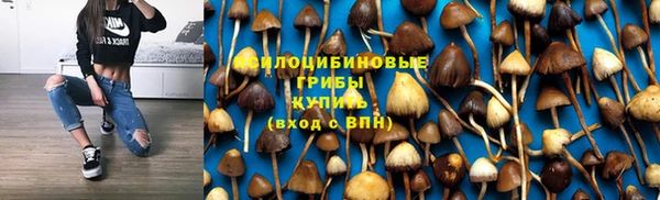 Альфа ПВП Дмитриев