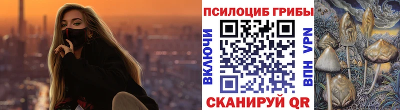Псилоцибиновые грибы GOLDEN TEACHER  Острогожск 