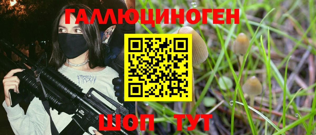 Галлюциногенные грибы GOLDEN TEACHER Острогожск