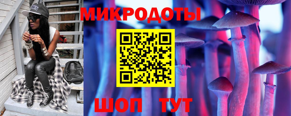 Острогожск  Галлюциногенные грибы Cubensis  Вход с VPN 