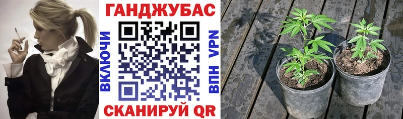 ссылка на мегу ссылки  купить наркотик  Острогожск  Каннабис OG Kush 
